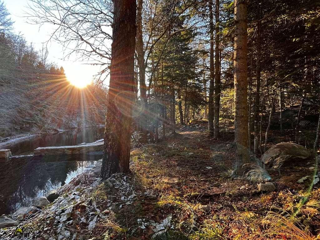 Swissotel Uludag Bursa Bekvämligheter bild